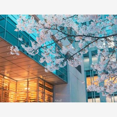 农村农业部：全国蔬菜产量稳中有增 市场供应总量充足
